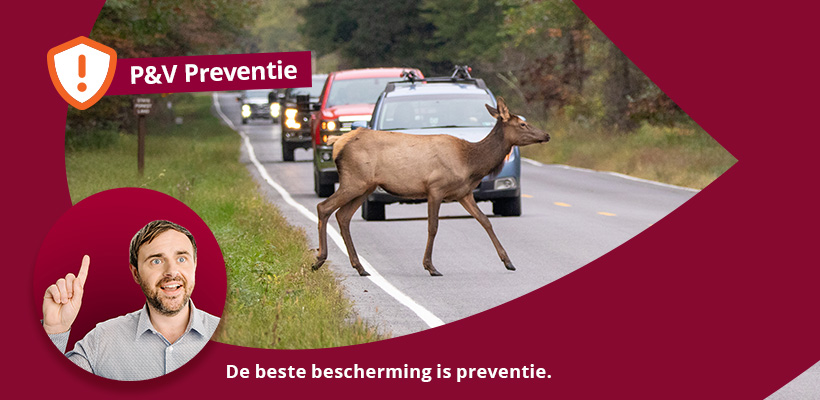 Image of the blog article