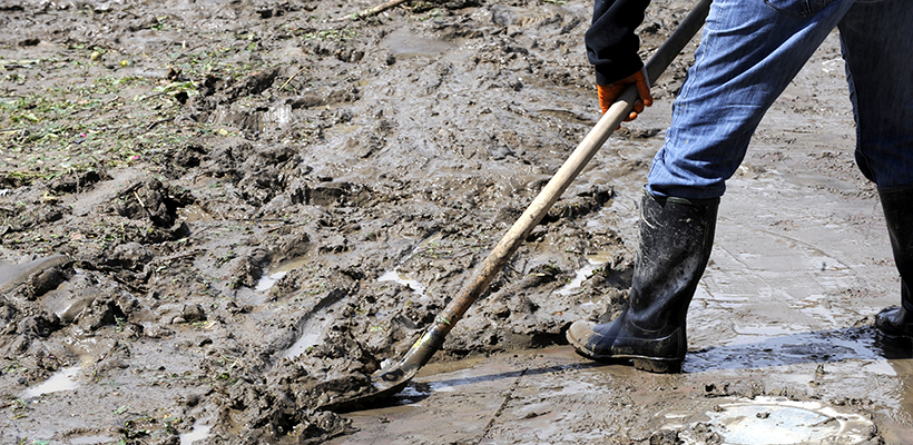 Image of the blog article