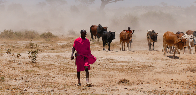 Image of the blog article