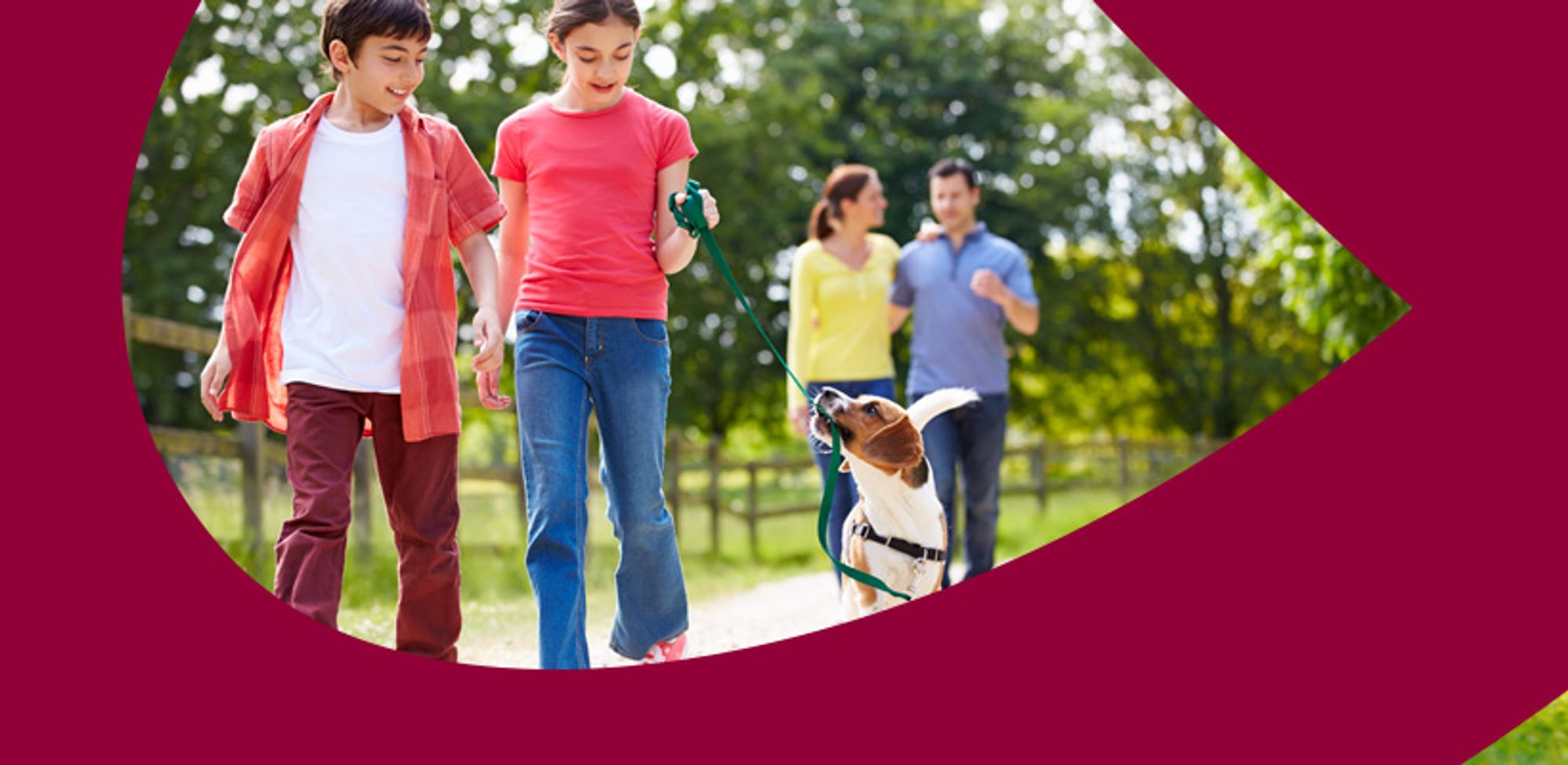 Image of the blog article