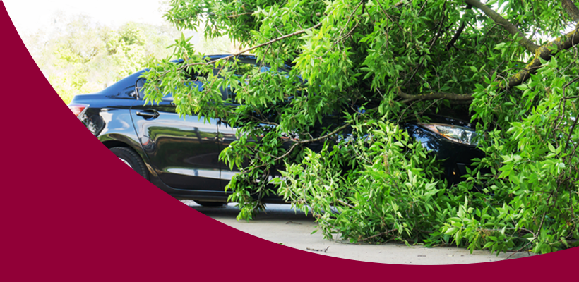 Image of the blog article